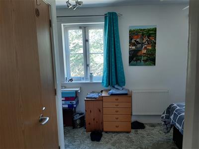 Picture 20